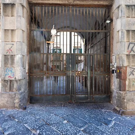 O Murzill نابولي